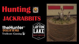 Celebrity Jackrabbit Hunting Guide | Layton Lakes | theHunter: Call of the Wild Profile