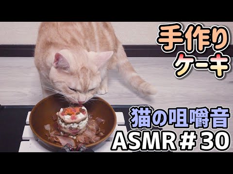 【ASMR】手作りケーキで誕生日パーティー！！猫の咀嚼音 #30