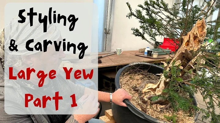 Styling & Carving a large Yew with Kevin Wilson - ...