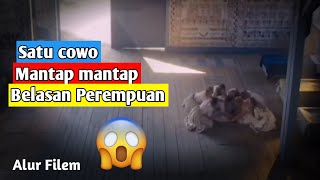 RITUAL ANEH DI PULAU TAK TERDUGA | Alur cerita filem sikopet midsomar 2021