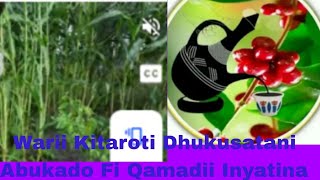 ,🍉🥭🥕🥑🍆🥬🍓🍎Warii Kitaroti Dhukusatani Kana Inyatina Adara 😭