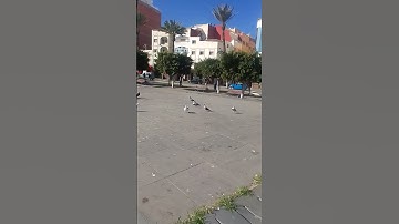ساحة محمد سادس الحسيمة