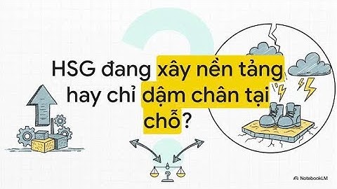 Công ty Cổ phần Tập đoàn Hoa Sen (HSG), SSI Research