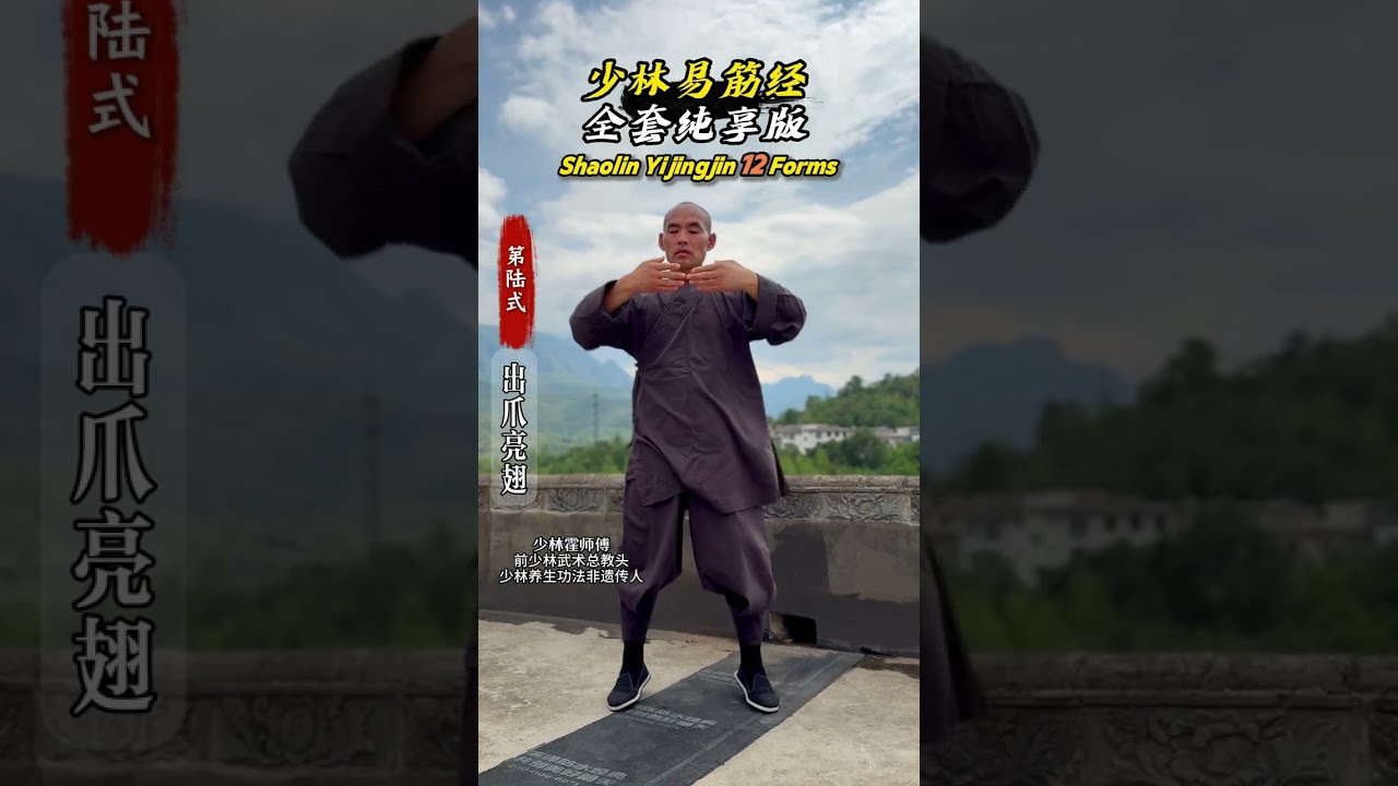 少林易筋经十二式 | Shaolin Yijinjing 12 Forms | 