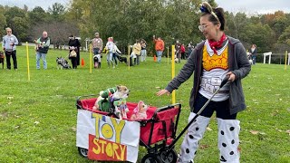 Pets dress up for Halloween parade and costume contest in Scranton