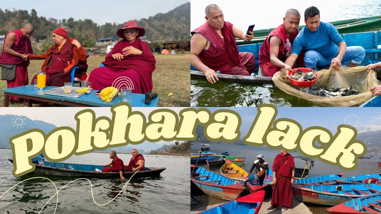 Спасите рыбу! Выпускаем рыбу на волю. Нехватка рыбы в Покхаре.