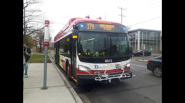 TTC 2024 New Flyer XE40 NG #6012 | 17S Birchmount Short Turn