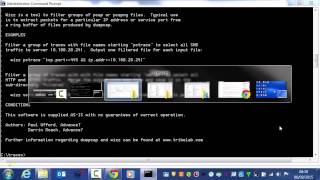 Celebrity Processing Dumpcap Ring Buffer Files with Wizz Net Worth