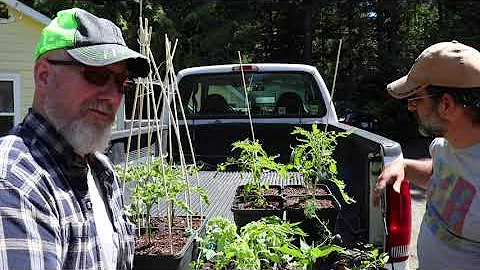 Prepper Garden Rescue Part 1 - With Author Austin ...