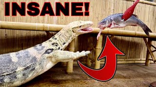 GIANT LIZARD FEEDING IN MASSIVE INDOOR ZOO!