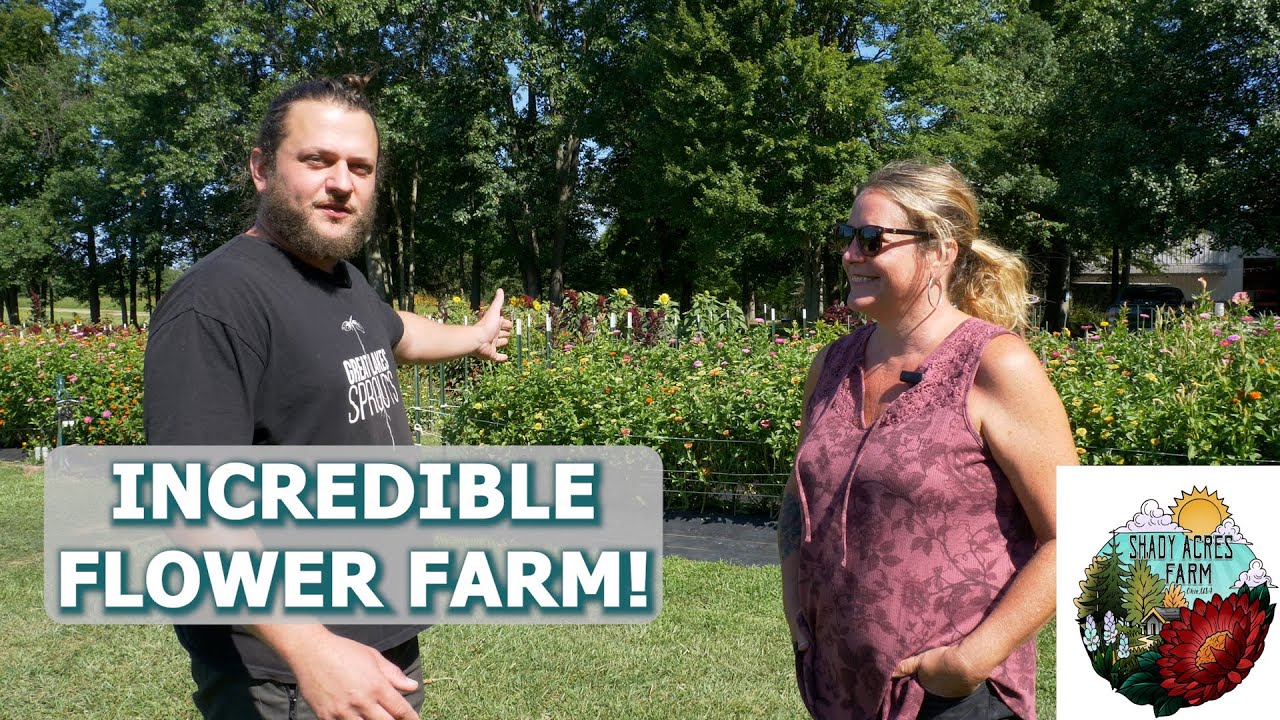 Interviewing a Floriculturist in North East Ohio - Shady Acres Farm