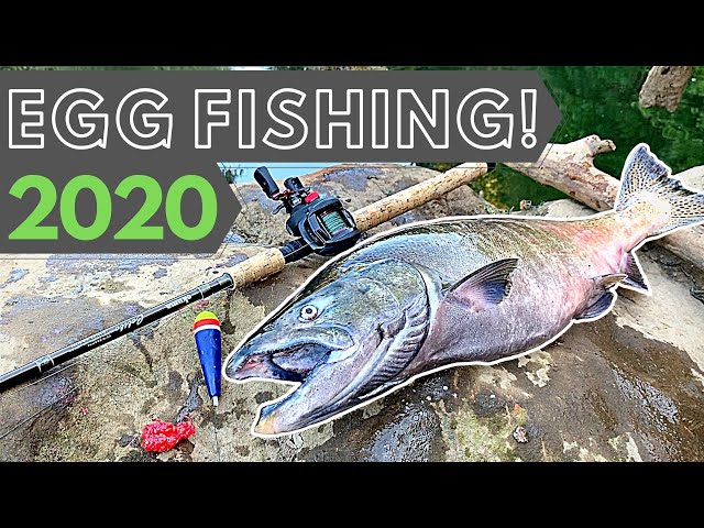 Salmon Fishing 2020, Drifting Eggs for Chinook