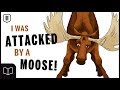 Moose Attack! - STORYTIME