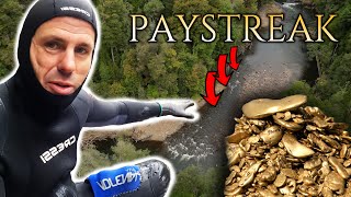 Thumbnail for We found a unique pay streak of gold nuggets in this Tasmanian river!!!