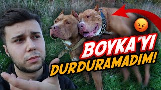 ŞEREFSİZLİK YAPMA BOYKA! 😡 (KONTROLDEN ÇIKTI)