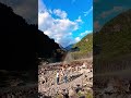 Jung water falls Arunachal Pradesh  #travel #shortvideo #nature #justiceforzubeengarg