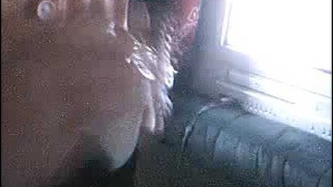 COD4 Non Modded Controller