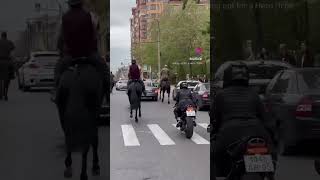 Открытие мотосезона в Махачкале