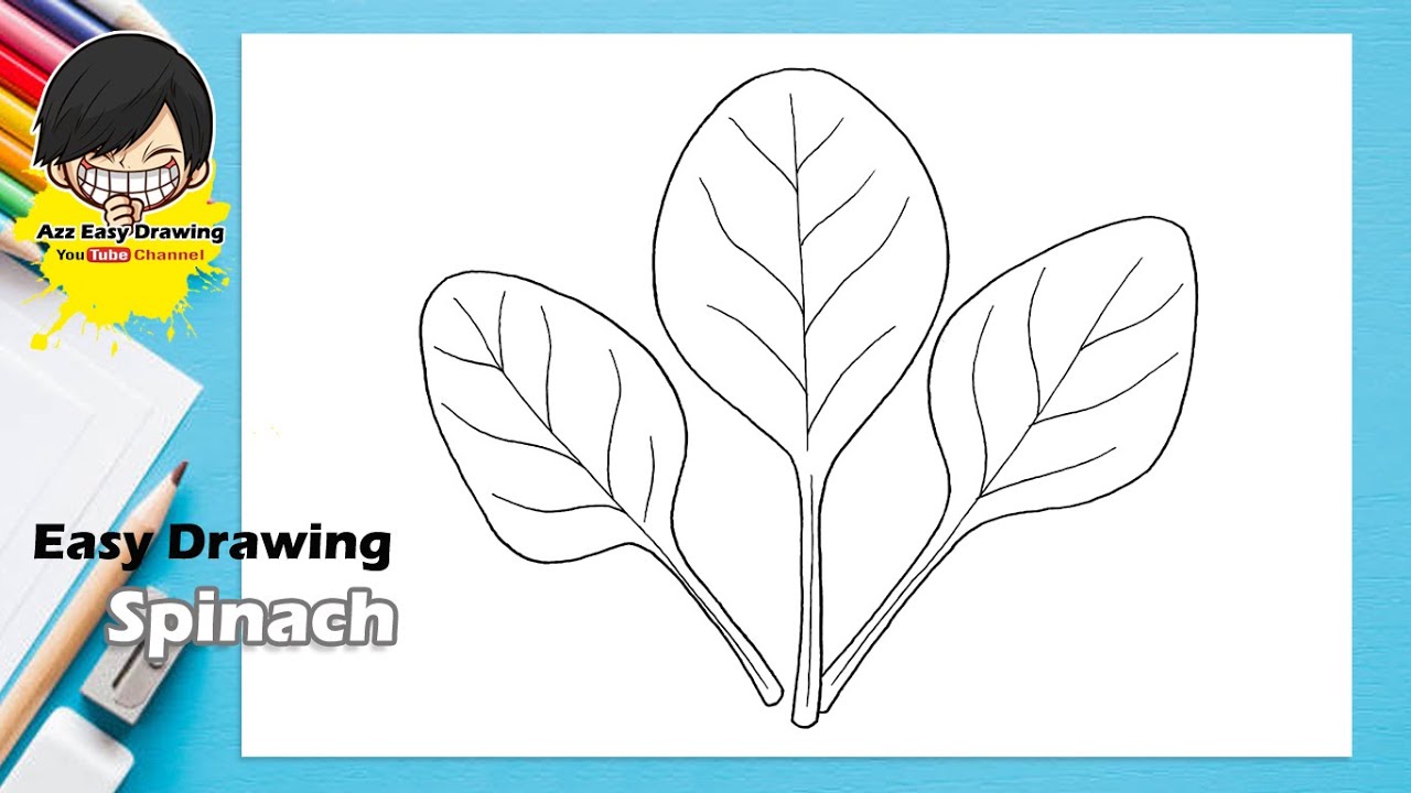 Easy Drawing Spinach YouTube