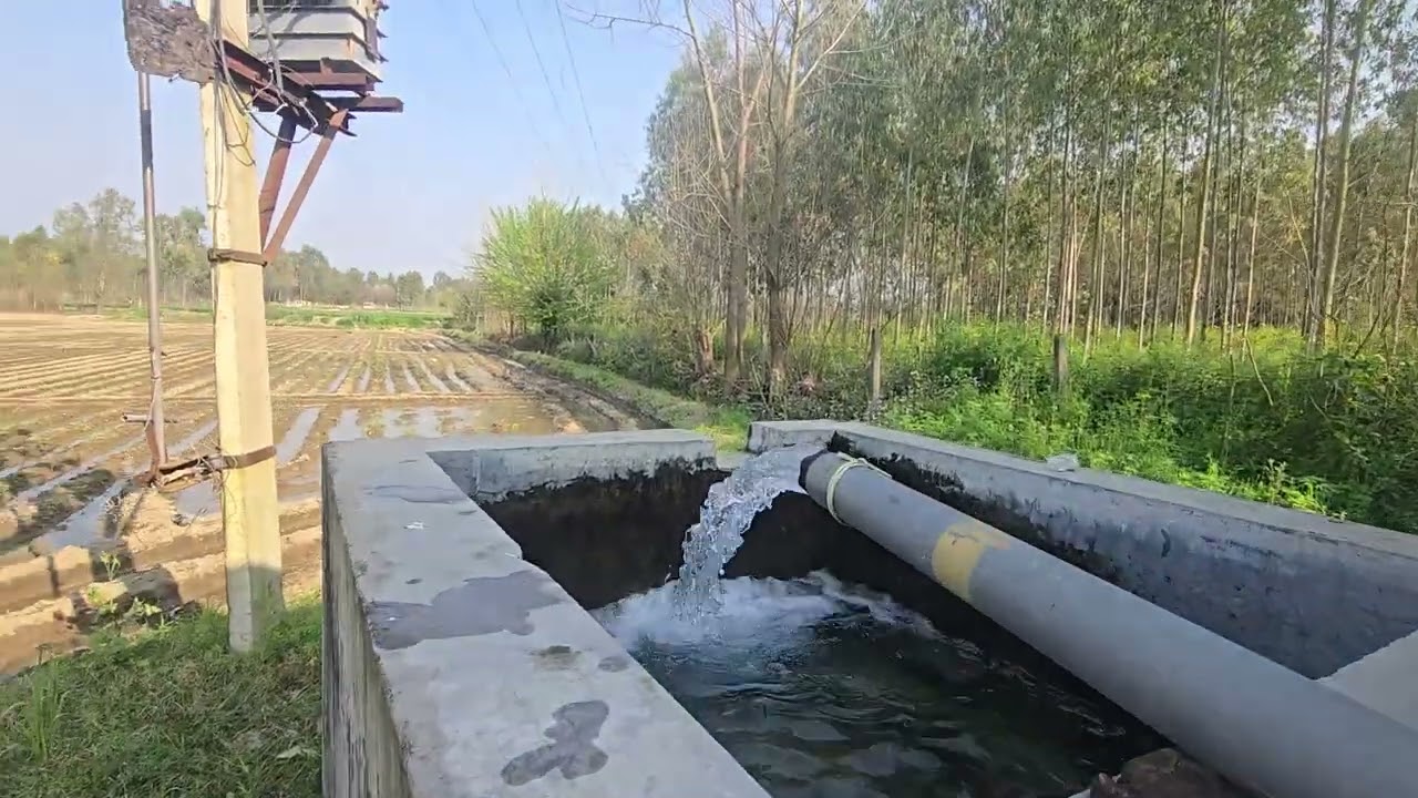 12 acre land near city 2 borewell on pukka road for.sale in Hoshiarpur punjab 9316167007 ,8284905110