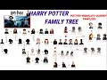 Harry Potter Family Tree (Potter-Weasley-Dursley Families) Part I