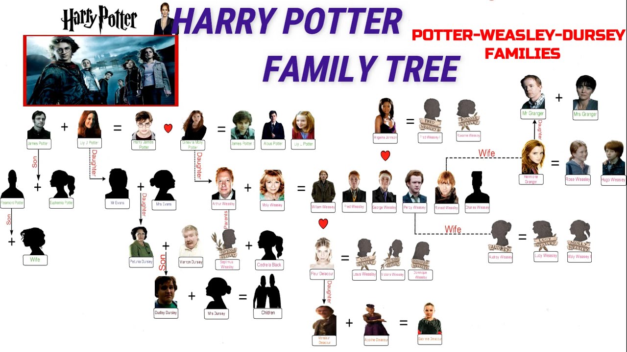 harry potter family tree