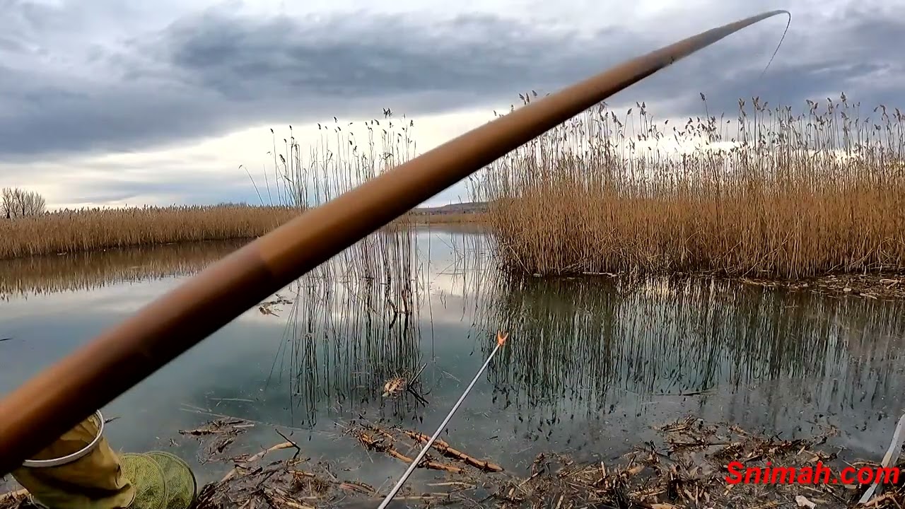 Първи риболов за 2025 година на язовир Безден