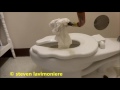 how to unblock a toilet