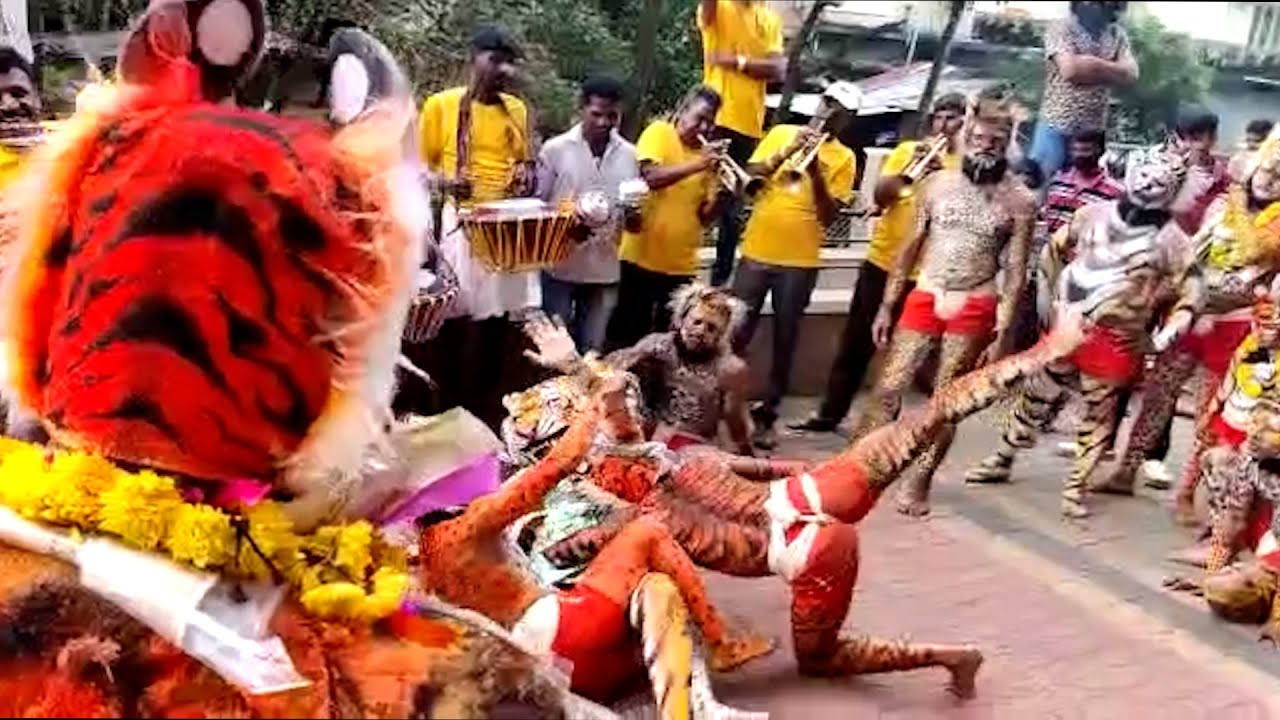 ಉಡುಪಿದ ಪಿಲಿಕುಲು ನಲ್ಪುನ ಪೊರ್ಲು ತೂಲೆಯೆ | Pili Vesha | Pili Nalike | Udupi ...