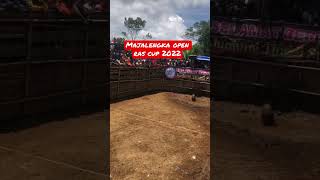 Dugong Kontes Ketangkasan Majalengka Open Ras Cup 2022