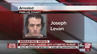 Deputies: St. Pete man tried to kill grandmother