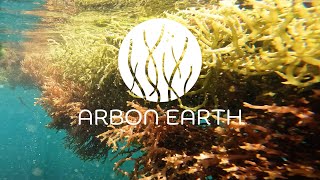Arbon Earth AB  - An ocean-based climate solution company