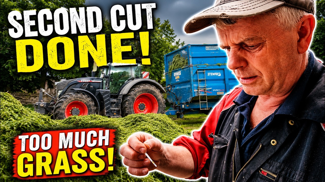 Second Cut Silage Is Done… But We’ve Got Too Much Grass!