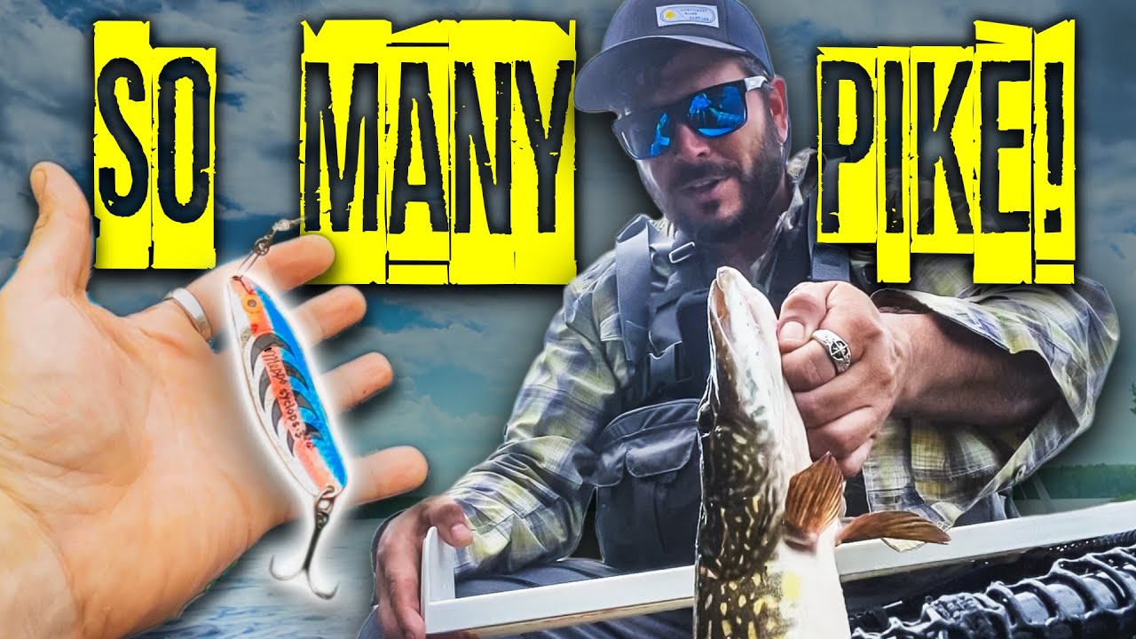 Pike slam! 🔥 AWESOME LURE for spring pike fishing YouTube