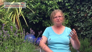 SEETEST 2016 - ISABEL EVANS - Quality in use: the beating heart of the user experience