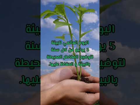 الاحتفال باليوم العالمي للبيئة كل 5 يونيو من كل سنة لتوضيح المخاطر المحيطة بالبيئة و الحفاظ عليها 