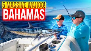 Deep Sea Fishing in the Bahamas for GIANT Fish