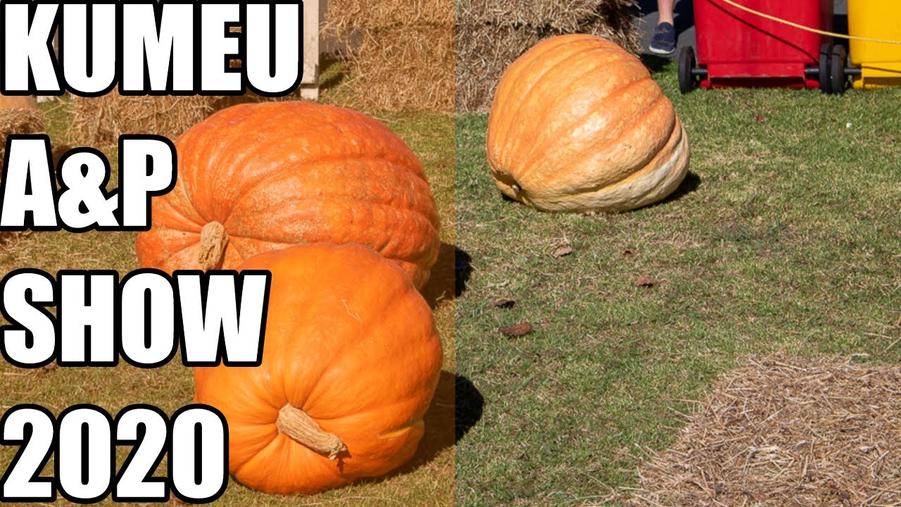Kumeu A&P Show 2020 YouTube