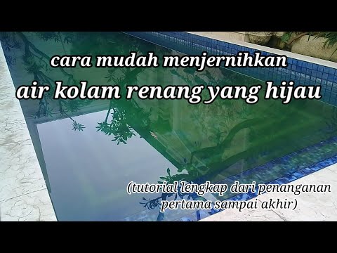 cara mudah menjernihkan air kolam hijau #airkolamhijau #airkolamkeruh #caramerawatkolam