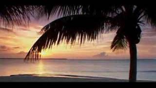 #01 RELAXATION NATURE TV - OCEAN WAVES - TOP 20 BEACHES - Bahamas sunset palm tree