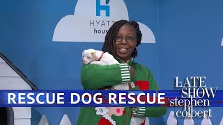 Rescue Dog Rescue With Whoopi Goldberg
