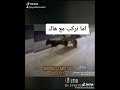 الحرجة بحري
