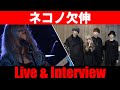 【ネコノ欠伸】ライブ&トーク!<1日1組ライブハウスで今注目のアーティスト紹介番組「MUSIC×HUNTER 365」>第100回