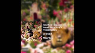 DJ Khaled -  Pick These Hoes Apart (Ft. Kodak Black, Jeezy & French Montana)
