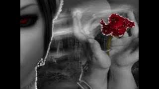 moonlight shadow remix