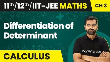 Differentiation of Determinant - Differentiation | Class 11/12/IIT-JEE Maths Ch 3 | 2024-25