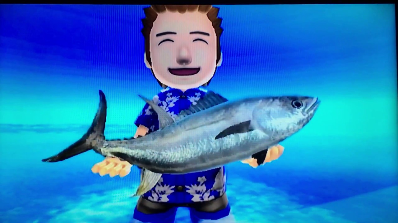 Experts Guide - Fishing Resort Wii - part 1/8 