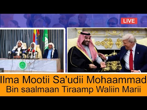 Ilma Mootii Sa Udii Mohaammad Bin Saalmaan Tiraamp Waliin Nageenyaa Suudaan Buusuuf Mari Atan