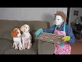 Michael Myers Befriends Cute Dogs: Funny Dogs Maymo, Penny & Potpie