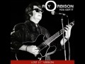 Roy Orbison You Got It Lost 12 Version mp3